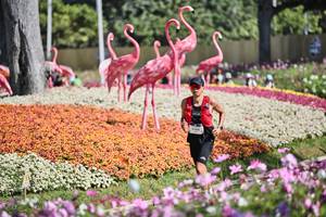 BIB: 
                            <button type="button" onclick="openModal(27793252)" class="btn btn-primary btn-sm float-right btn-popup" data-toggle="modal" data-target=".modal-high-quality">
                        <i class="fas fa-shopping-cart"></i> Add to Cart
                    </button>
                                            <button type="button" onclick="isThisMe(27793252, true)" class="btn btn-success btn-sm float-right btn-popup btn-isme hidden" data-toggle="tooltip" data-placement="bottom" title="นี่คือรูปของคุณใช่ไหม คลิกที่นี่เพื่อเอาเข้าอัลบั้ม">
                        <i class="fas fa-plus"></i> Add to album
                    </button>
                    <button type="button" onclick="isThisMe(27793252, false)" class="btn btn-warning btn-sm float-right btn-popup btn-isnotme hidden">
                        <i class="fas fa-ban"></i> Remove from album
                    </button>